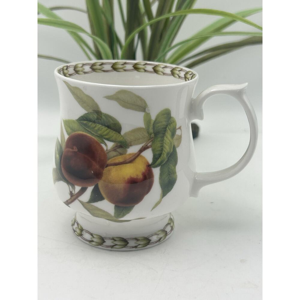 Queens China Hookers Fruit Royal Horticultural Society Fine Bone China Apple Mug